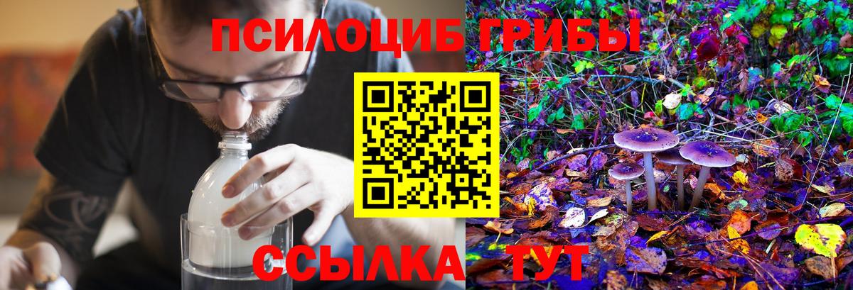 Галлюциногенные грибы Magic Shrooms  Вход с VPN  Галлюциногенные грибы MAGIC MUSHROOMS  Назарово 
